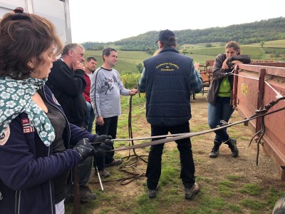 Formation attelage avec Pierre JACOB