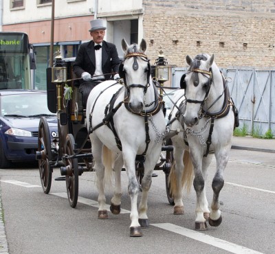 Mariage en attelage avec un coup&eacute; de ville men&eacute; par Pierre Jacob